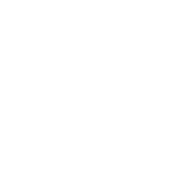 Custom icon